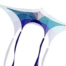 Video courtesy of Leon Choong.